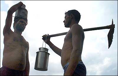 Drought-hit farmers stand on their paddy field