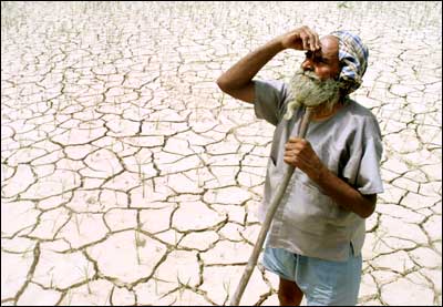 A farmer looks at the sky