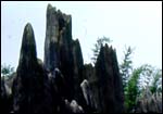 The stone forest of Shilin