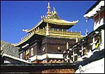 Maitreya Buddha temple