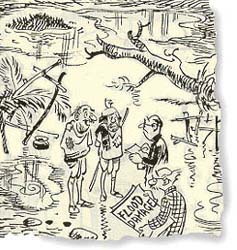 The genius of R K Laxman