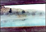 Cinemascope vision of Yellowstone